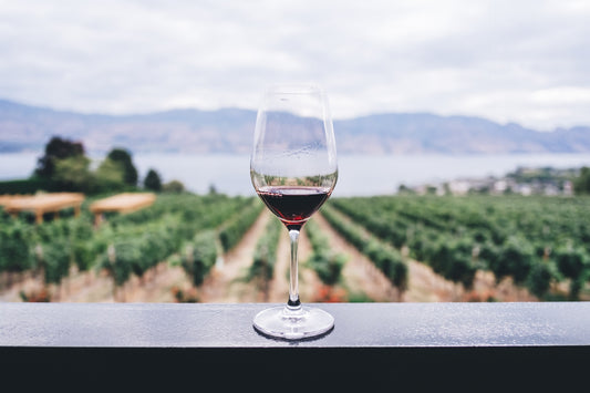 Red Wine Headaches Part 1